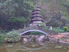 -深圳国际园林花卉博览园