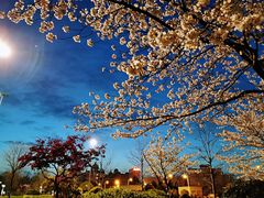 -市民服务中心大楼