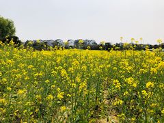 -武汉紫薇都市田园