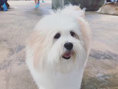 -TrueLove @ Neverland (Husky Cafe)