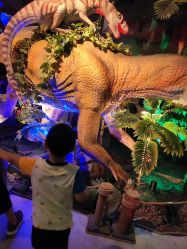 -恐龙探索乐园(磁器口店)