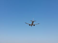 -空港花田景区