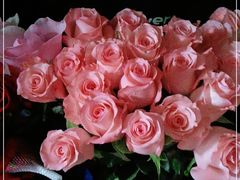 -FEI FEI FLOWER鲜花店·气球派对·宝宝宴布置(虹口德必运动Loft店)