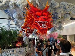 -河内内排国际机场