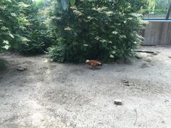 森林公园-森林公园(尖草坪区)