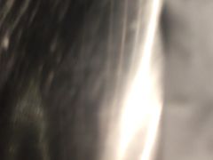 -老蒲鲜·地标·非遗美食(涵江店)
