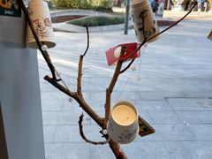 -Seesaw Coffee(苏州中心店)