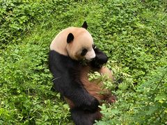 -云南野生动物园