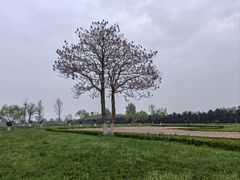 -汉长安城未央宫国家考古遗址公园