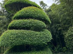 -苏州河梦清园环保主题公园