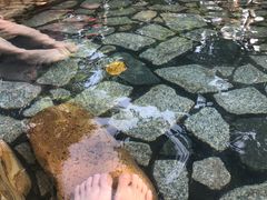 -龙佳生态温泉山庄