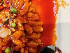 -沪碟·精菜坊(闵行店)
