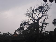 -司徒庙