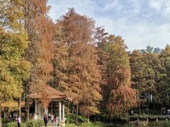 -深圳仙湖植物园