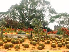 -松山湖梦幻百花洲