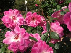 -人民公园(罗湖区)