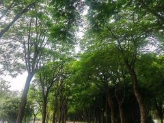 -顺峰山公园