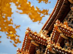 -故宫博物院(故宫)