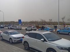 -天津妈祖文化园