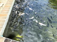 -侯臣咖啡文化村