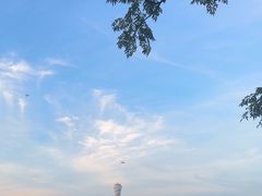-上海吴淞炮台湾国家湿地公园