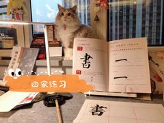 -阿妮亚少儿美术书法(望京店)