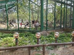 -北戴河集发农业梦想王国