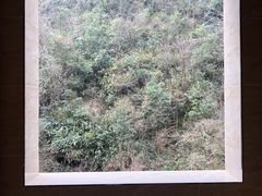 -湖州龙王山景区