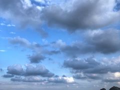 -枸杞岛