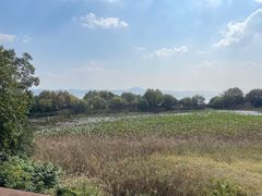 -上海市保健医疗中心