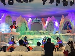 -帝企鹅自助餐厅•儿童岛•真企鹅(长隆企鹅酒店)