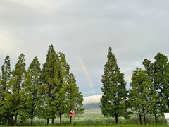 -西京湾花海