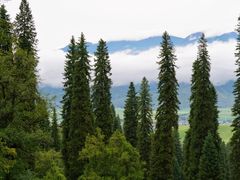 -新疆那拉提国家旅游度假区
