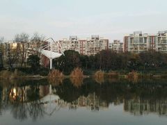 -新江湾城公园