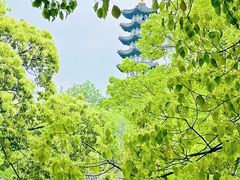 -楠溪江风景名胜区