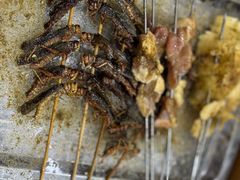 -小寒羊烧烤(凯瑞时代大厦店)