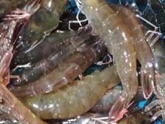 海虾-大杰海鲜锅(基隆路店)