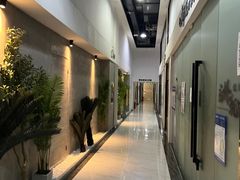 -Mr.Fox狐狸先生超级密室(南山店)