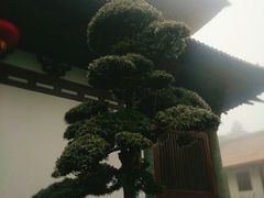 -径山寺