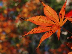 -苏州河梦清园环保主题公园