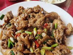 现杀果园鸡—黄焖鸡-生态苑农庄(十里画廊遇龙河店)