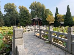 -晋祠公园