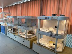 -翊宠yipet猫狗购宠庄园犬舍•猫舍