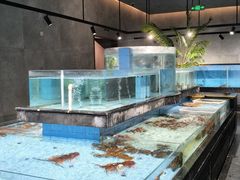 -曼格纳·曼芯馆(杨浦店)