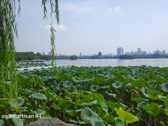 -济南大明湖景区