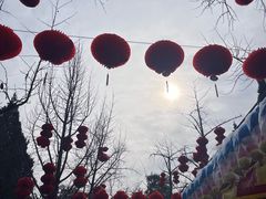 -地坛公园