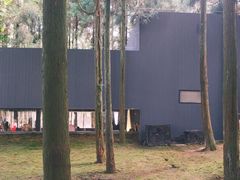 -玉苍山国家森林公园