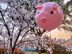 -顾村公园