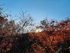 -周口店坡峰岭风景区