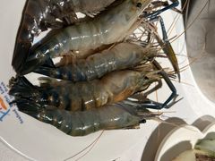 大头虾-领鲜活海鲜榴莲自助火锅(东门店)